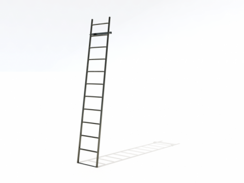 droog Onvergetelijk Instituut FIX UP - Inox ladder